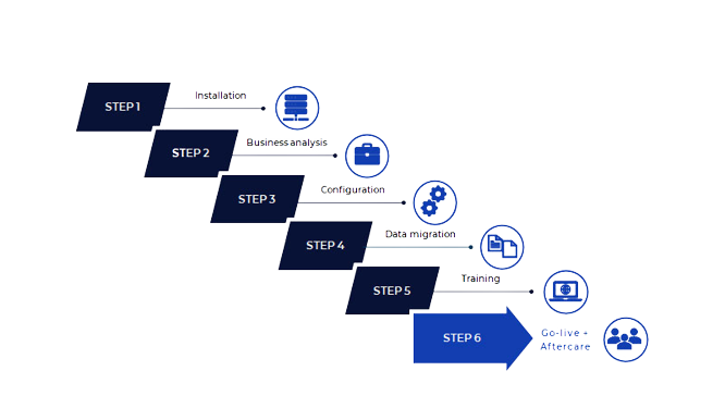 implementation_framework_assai_dms-removebg-preview